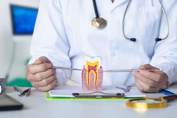 Best Root Canal Emergency Dentist  in Margate City, NJ